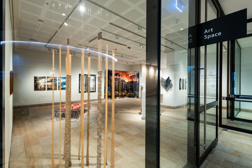 Installation view of Home Grown: Surface Tension, 2026