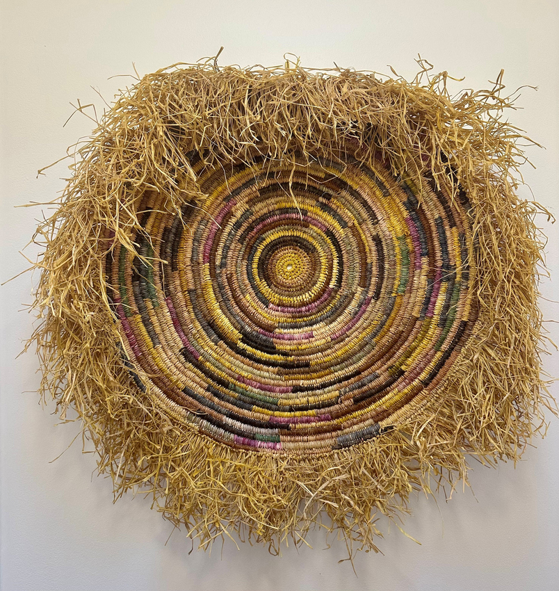 Doreen Wilby, The Colours of Nature, 2025