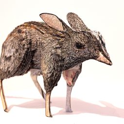 Kat Parker, Discarded, 2025, ink and watercolour on Australia Through Time pages, UV resin, MDF, boxboard and glue and layered linocut prints, 19.5 x 40 x 11.15cm / Winner of the 2026 Deakin University Contemporary Small Sculpture Award supported by Michael and Emily Tong / Photograph: Fiona Hamilton / Image © and courtesy the artist